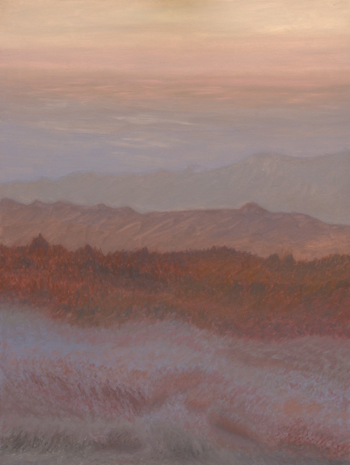 1 (oil on canvas, 60x80 cm), 2011