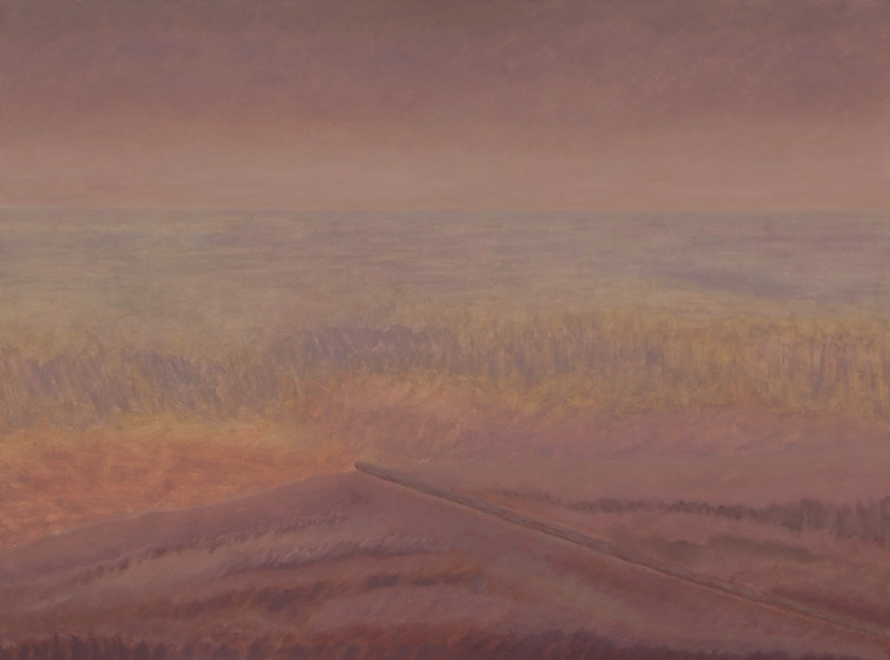 6 (oil on canvas, 80x60 cm), 2013-15