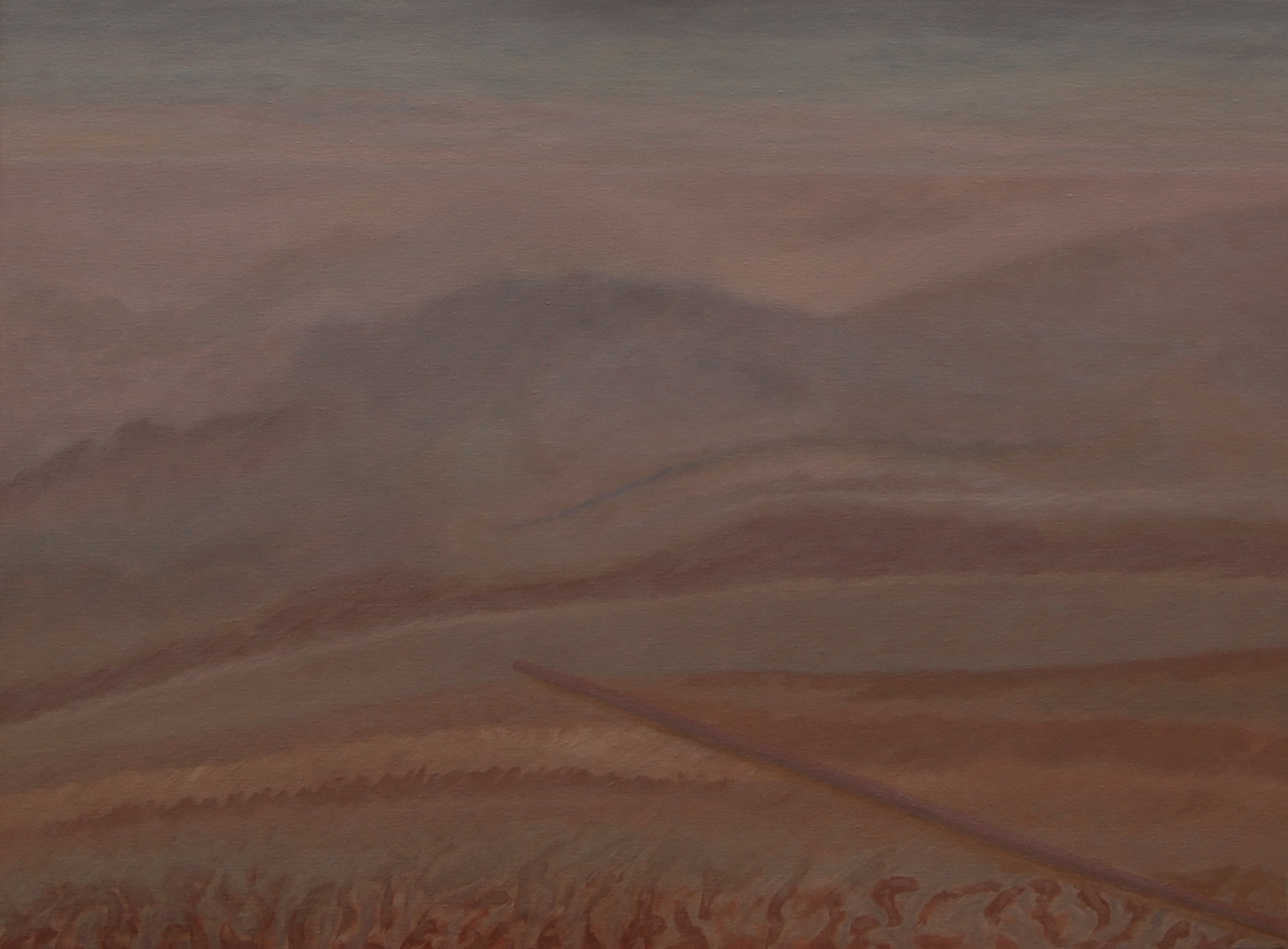 12 (acrylic, oil on canvas, 80x60 cm), 2015-16